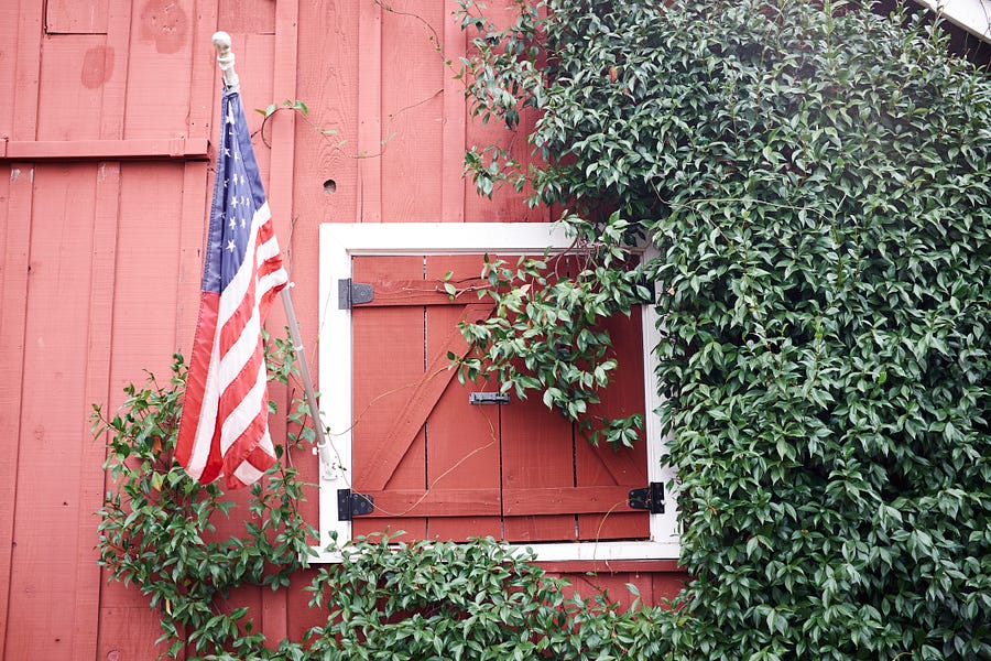 This July Fourth, Meet Three Americas