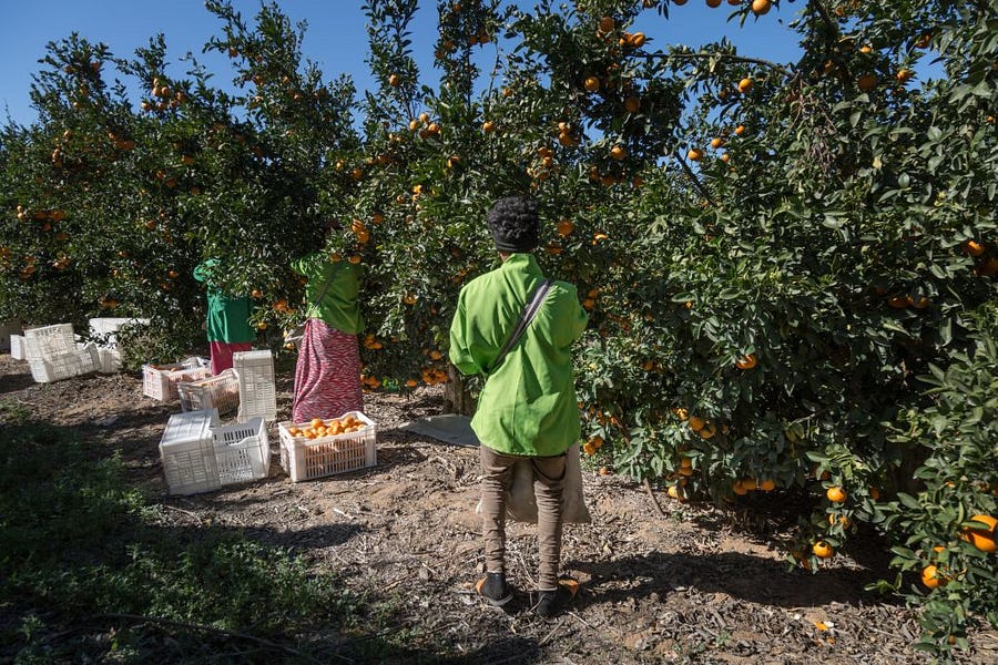 It’s Time for the EU to Turn to Africa