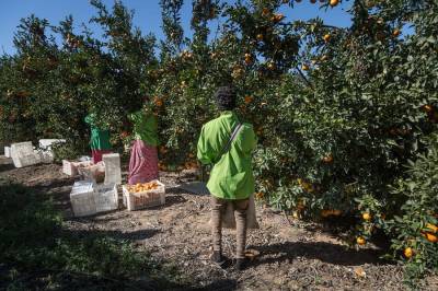 It’s Time for the EU to Turn to Africa