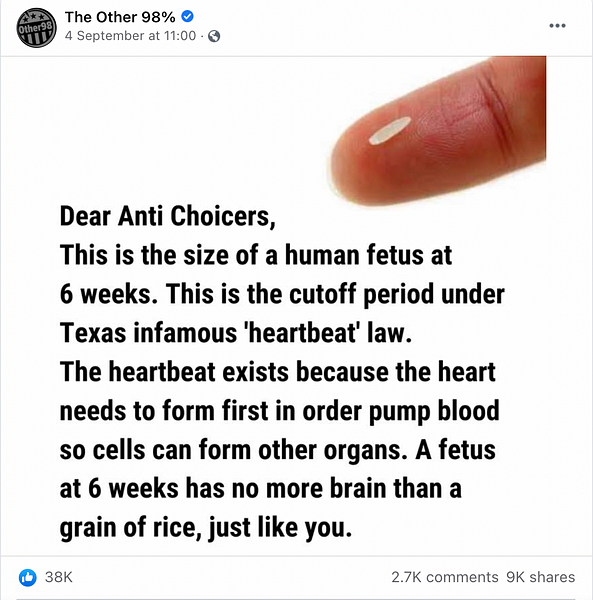 Fact Check: ’A Fetus at 6 Weeks Has No More Brain Than a Grain of Rice’