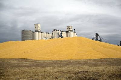 How Old Bad Policy Breeds New Bad Policy