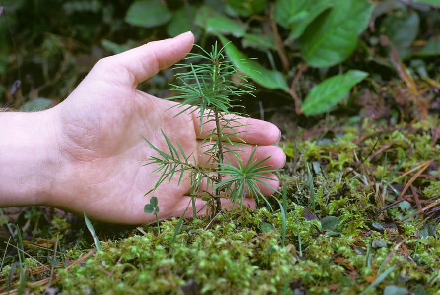 A Conservative Approach to Climate Change