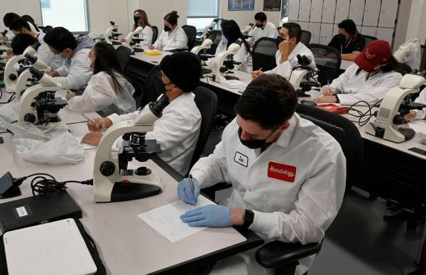 Plan to Grant More Green Cards to STEM Graduates Resurfaces