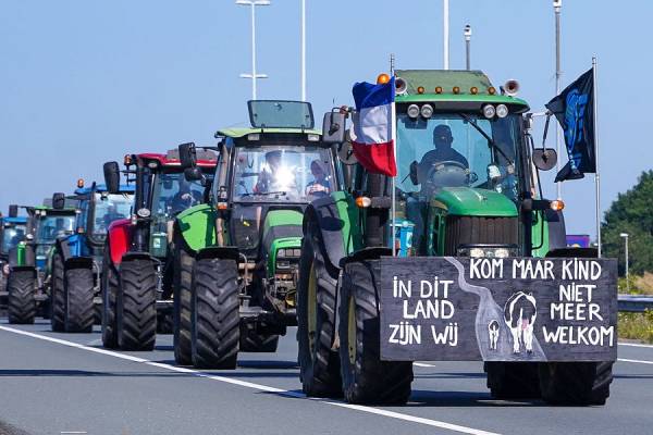 The Morning Dispatch: The Regulations That Bought the (Dutch) Farm