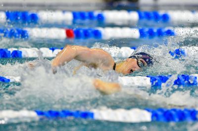 NCAA SWIMMING: MAR 19 Women’s Swimming & Diving Championships