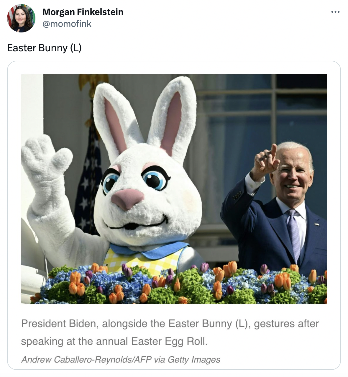 Screen Shot 2023-04-12 at 11.49.19