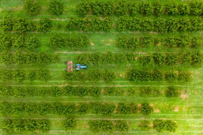 US-SCIENCE-CLIMATE-AGRICULTURE-ECONOMY-CROPS