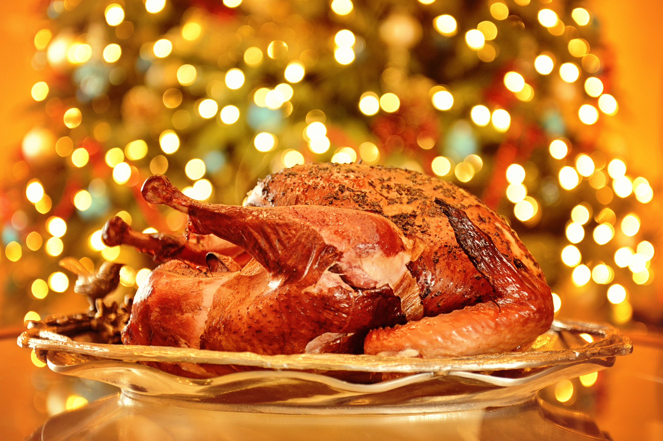 Holiday Turkey