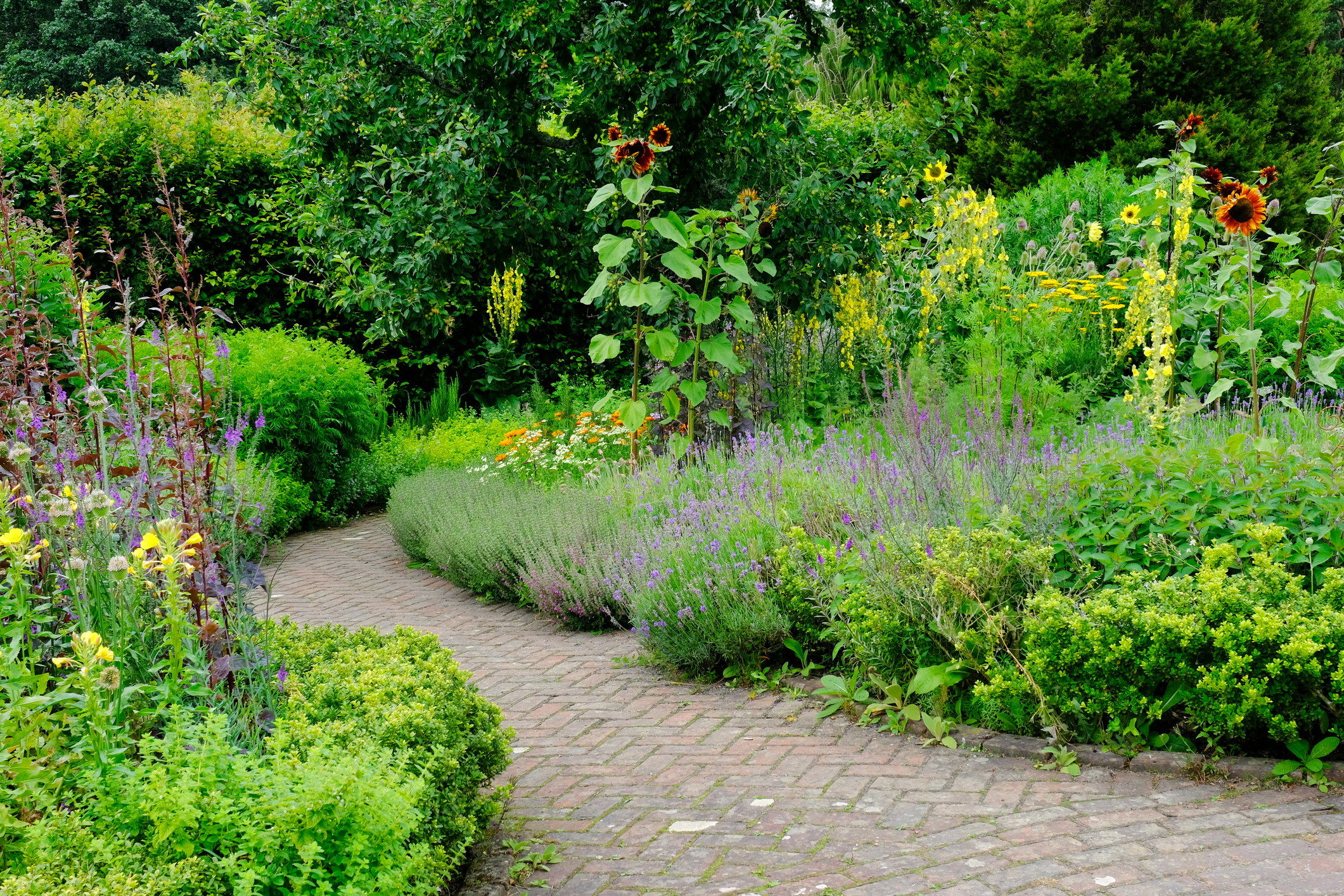 English Flowerbeds