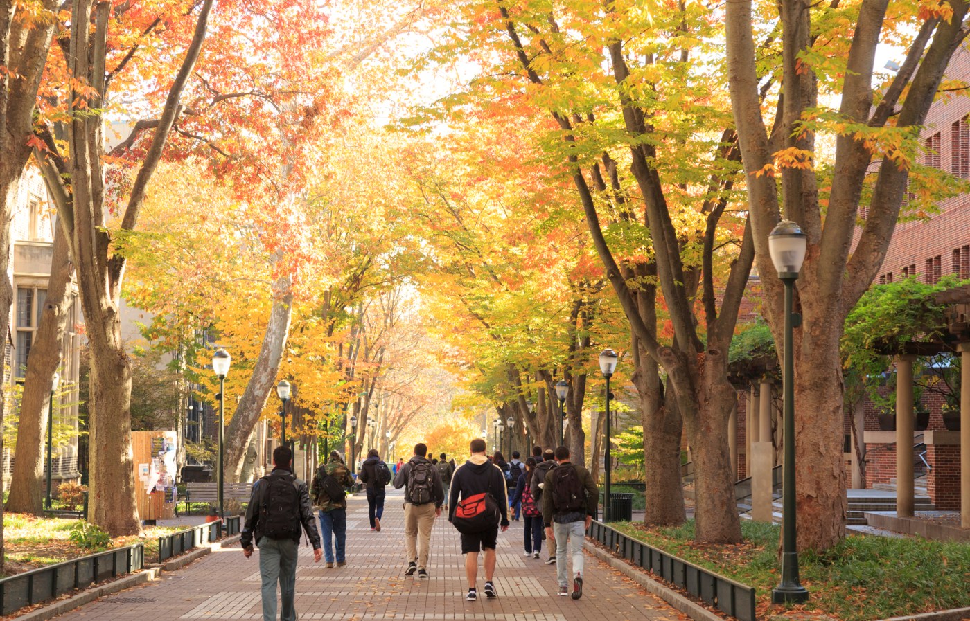 University Campus with Crowd of Students