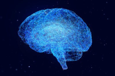 Neural network brain