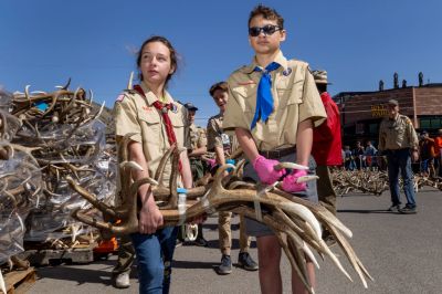 Annual Elk Antler Auction Held In Jackson Hole, Wyoming
