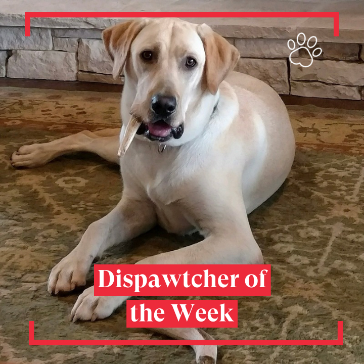Dispawtcher