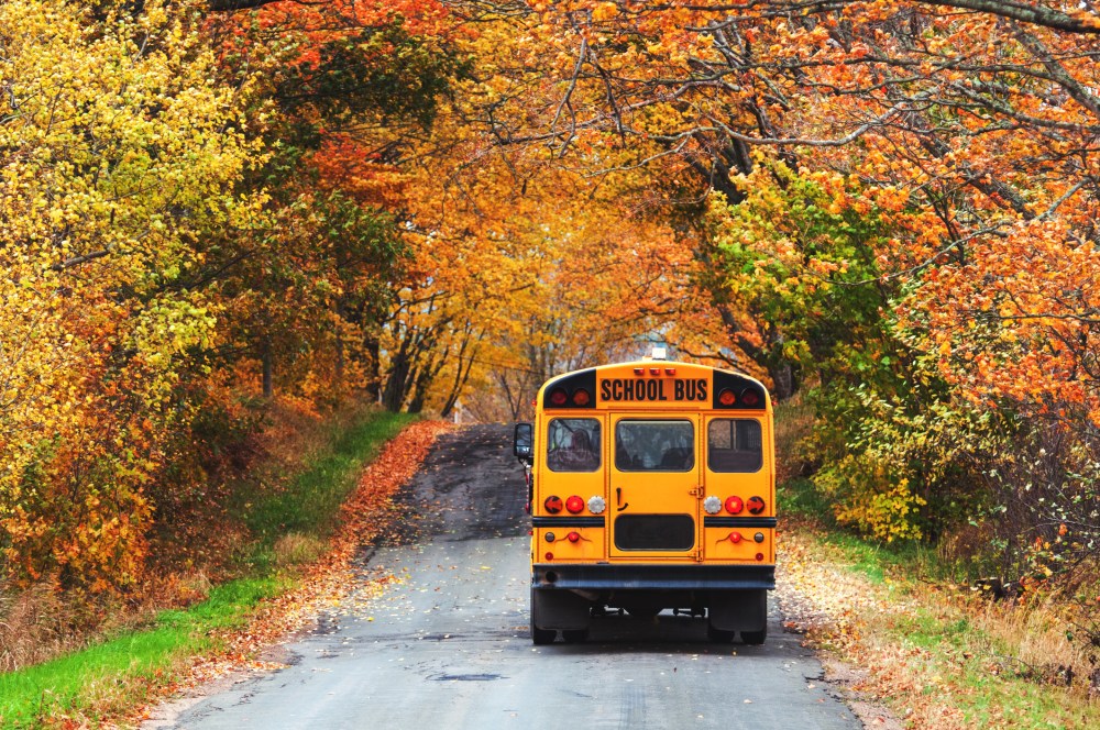 School Bus