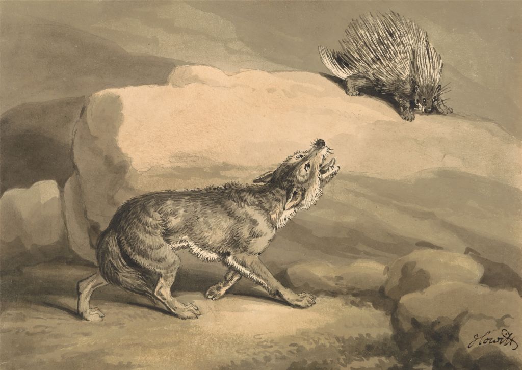 Fox and the Hedgehog (Porcupine), Samuel Howitt, 1756–1822, British, undated, Watercolor and pen and black ink, gray ink, and graphite on medium, slightly textured, cream wove paper, Sheet: 5 1/8 × 7 1/8 inches (13 × 18.1 cm), animal art, fox (animal),