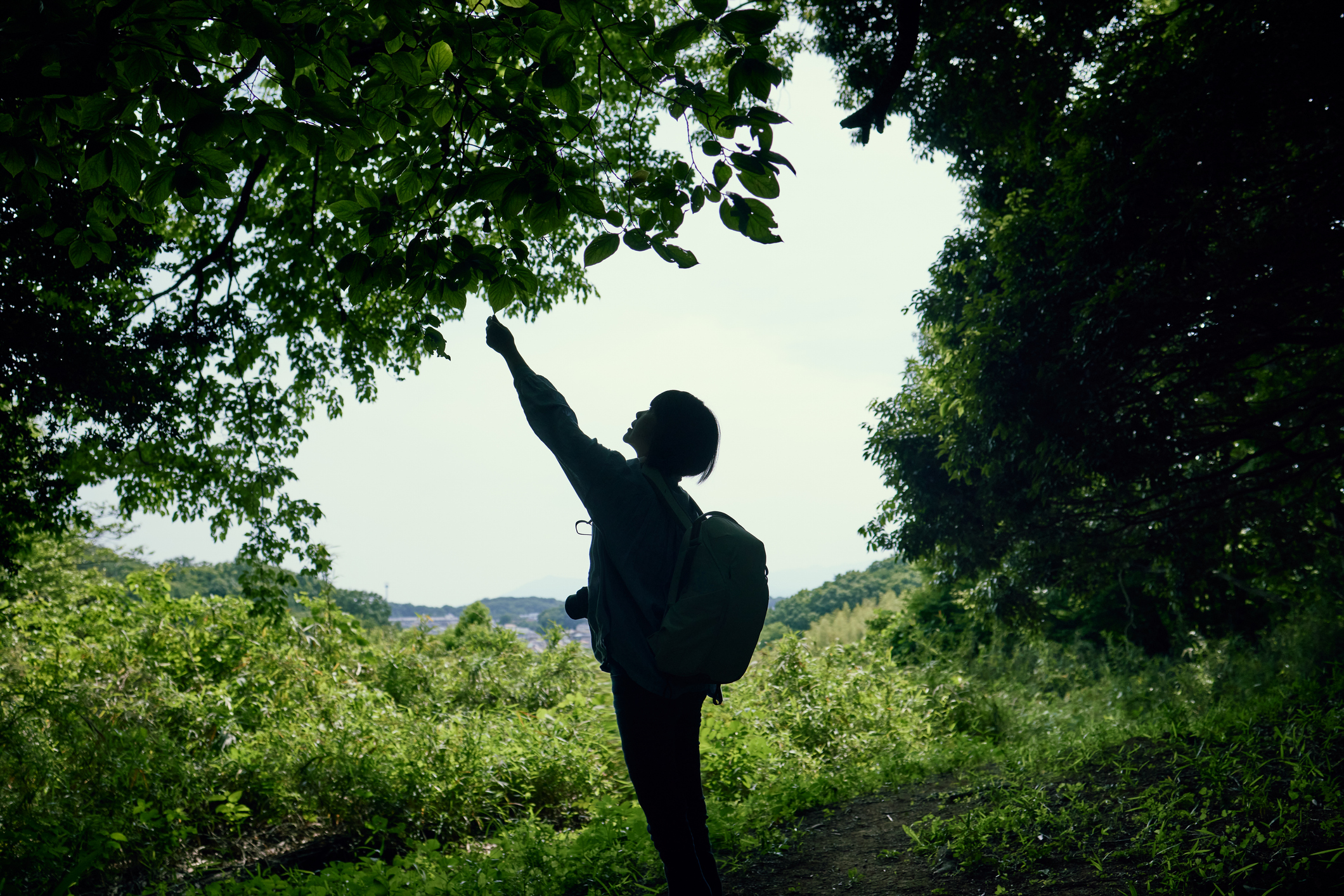 Senior woman looking at a map in the woods overlooking the city
