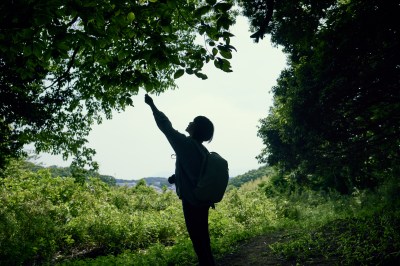 Senior woman looking at a map in the woods overlooking the city