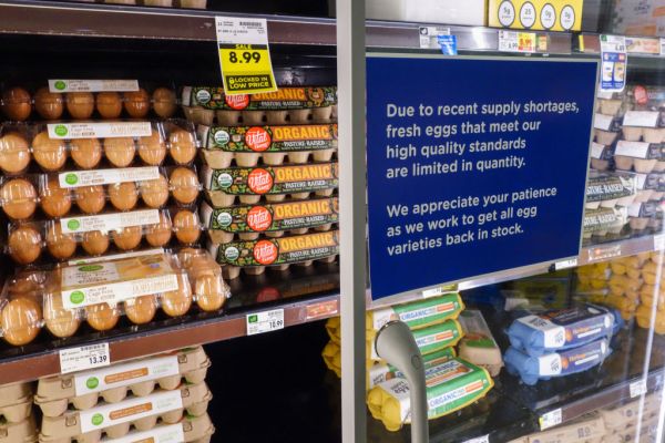 Featured image for post: The Egg Shortage, Explained