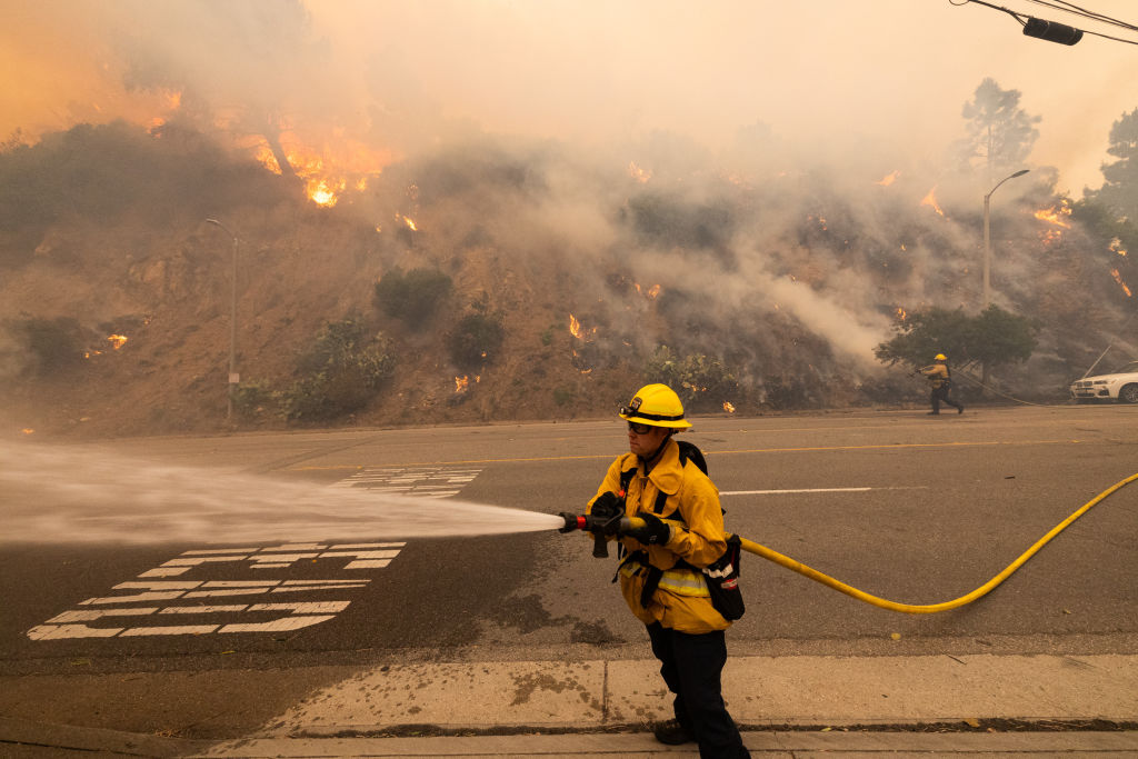 Brush Fire Erupts In Pacific Palisades