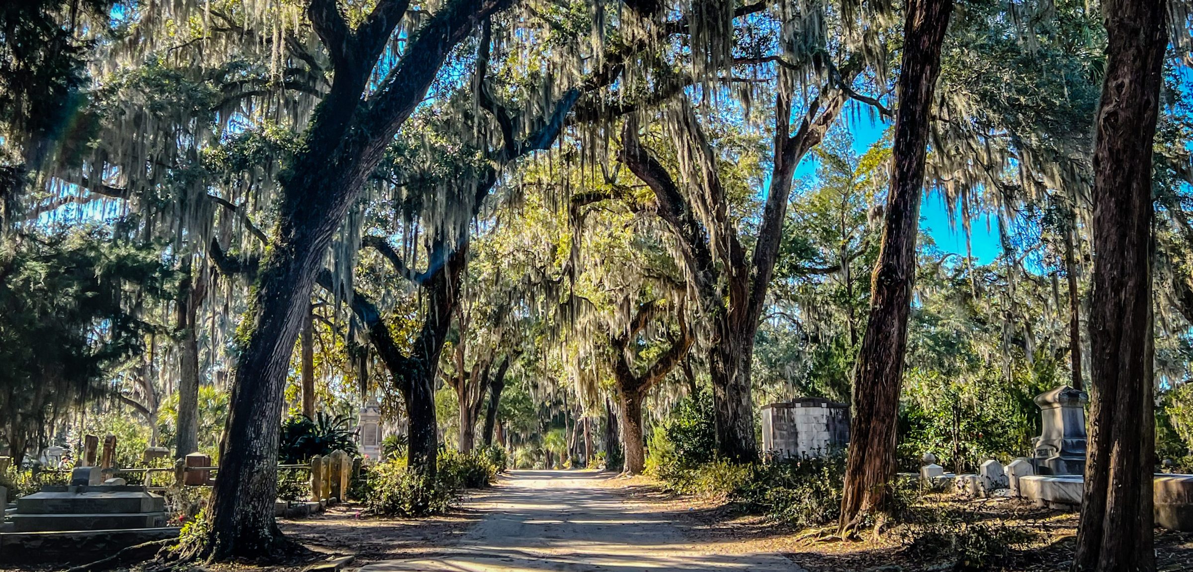 Live Oak and Spanish Moss Trees at Bonaventure Cemetery – Savannah GA