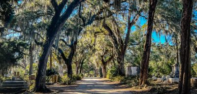 Live Oak and Spanish Moss Trees at Bonaventure Cemetery – Savannah GA