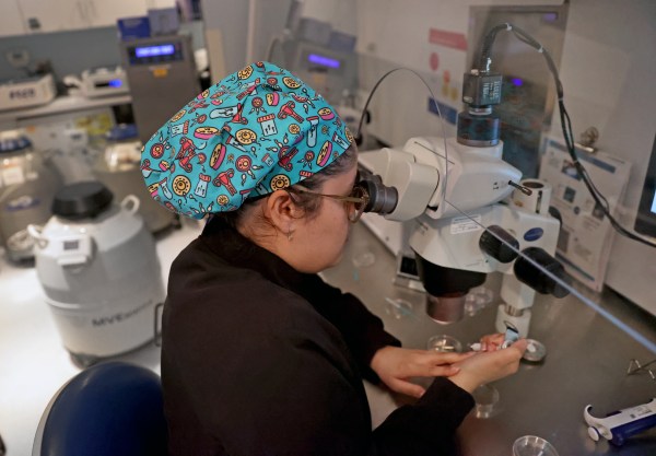 Rebecca Brito, an embryologist, works in the IVF lab at Brigham & Women's Hospital. (Photo by David L. Ryan/The Boston Globe via Getty Images)