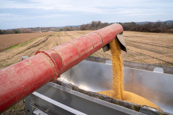 Farmer Amie Laberge unloads his combine of freshly harvested soybeans into a transport truck on November 17, 2023, in Charlotte, Vermont. (Photo by Robert Nickelsberg/Getty Images)
