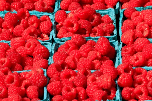 Brampton Farmers’ Market In Brampton