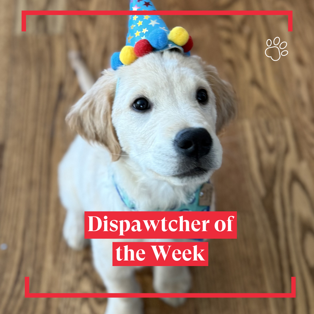 Copy of Dispawtch of the Week (22)