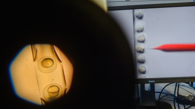 dpa-story: Crispr