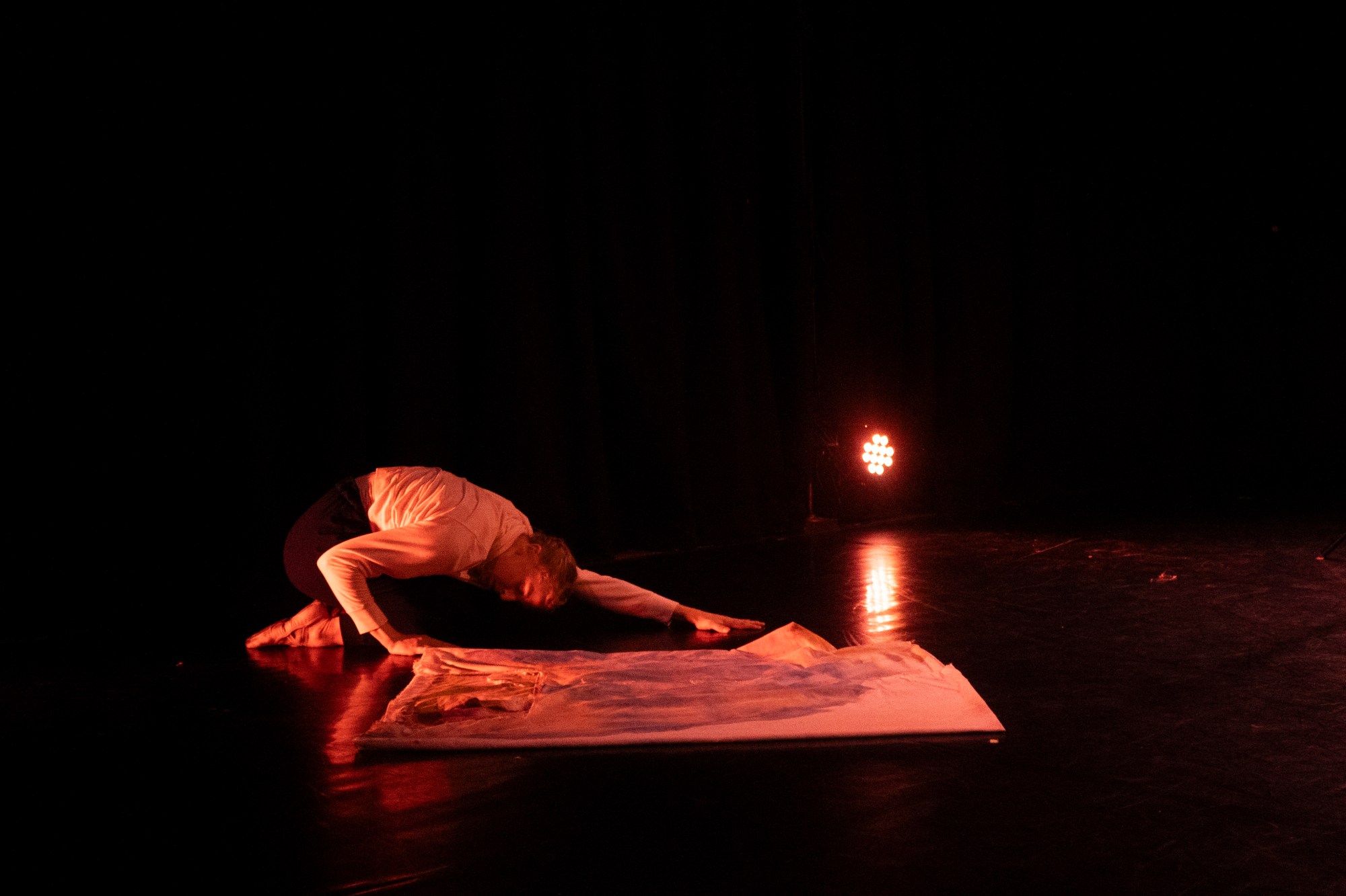 Vulnerasti Cor Meum – Shreya Sahai 2