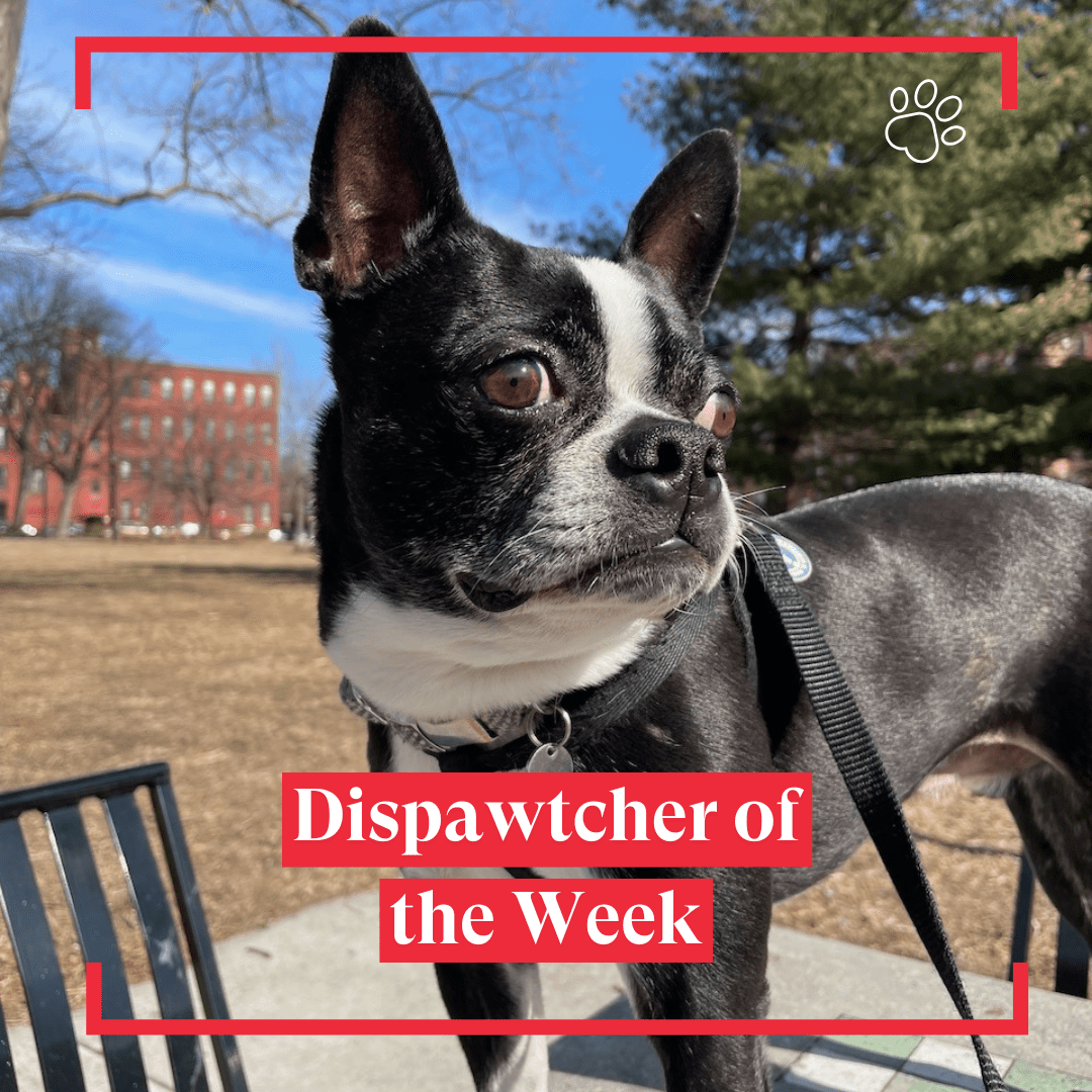 Dispawtch