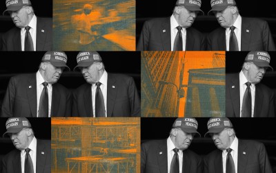 trumptaco8