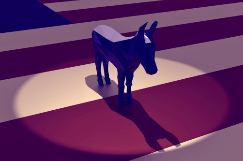 saddonkey