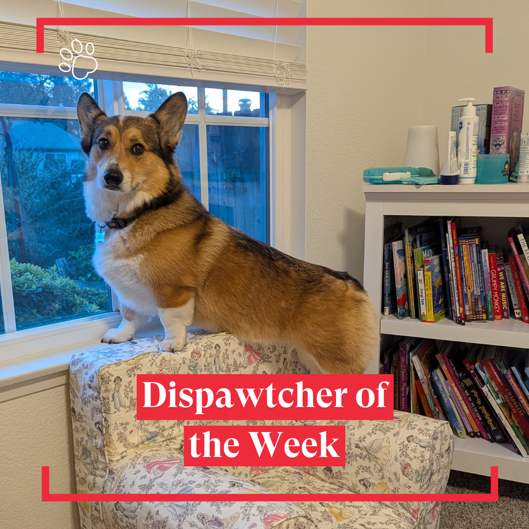 Copy of Dispawtch of the Week (13)