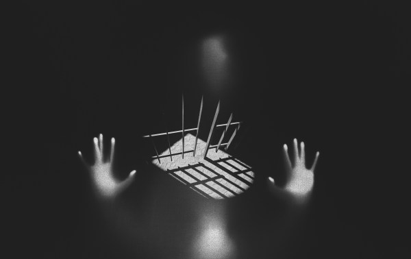 Illustration by Noah Hickey (Images from Unsplash).