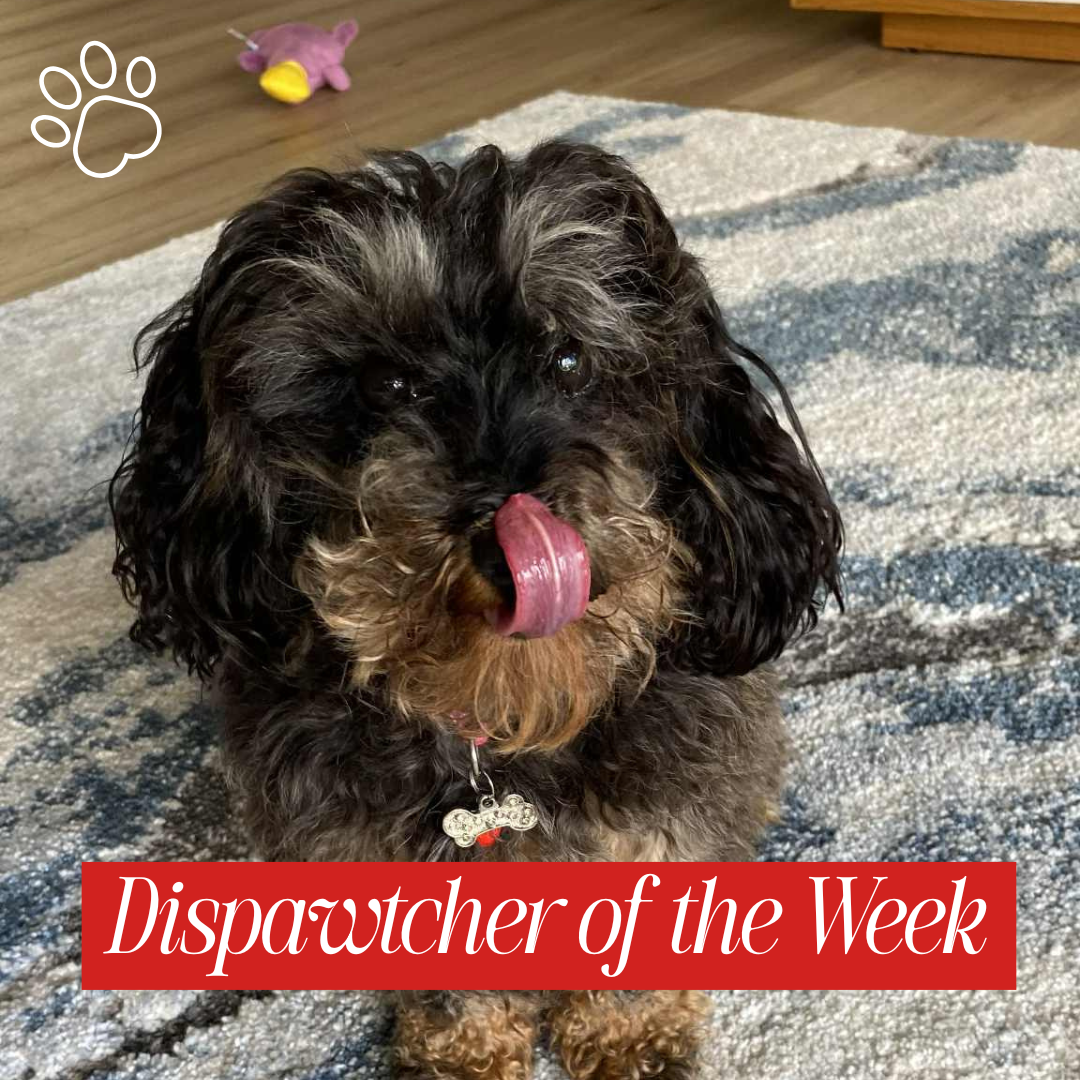 Copy of Dispawtch of the Week (36)