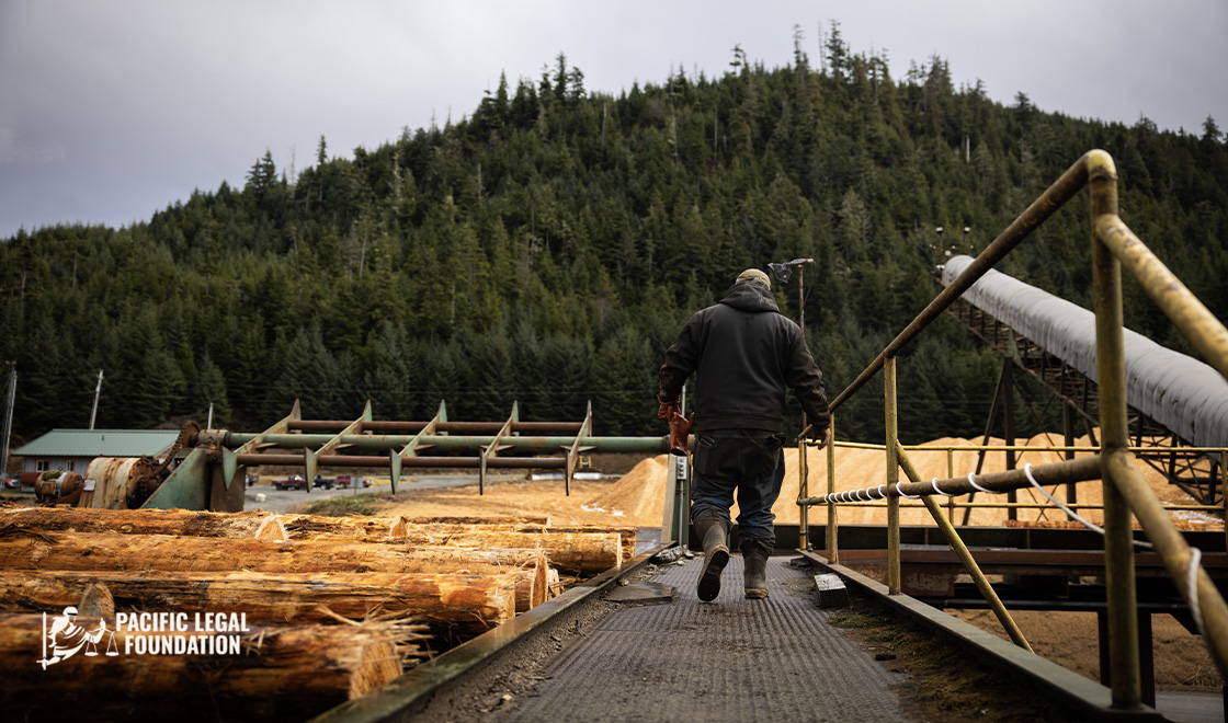 A man walking on a metal bridge with logs in the background