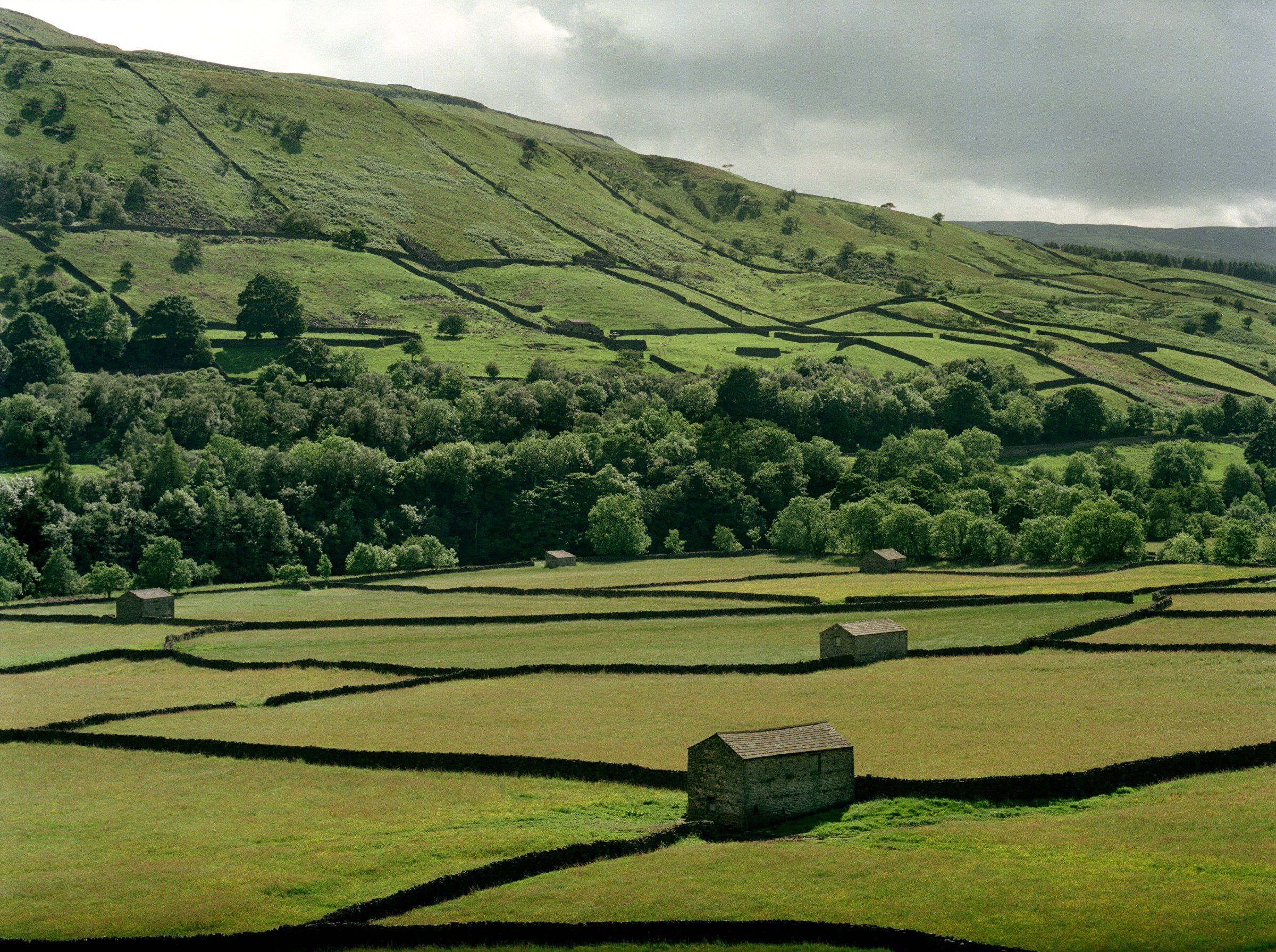 Fields divided by dry stone walls in the Yorkshire Dales National Park. (Photo by Tom Stoddart/Getty Images)