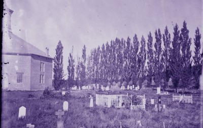 A cemetery with trees in the background