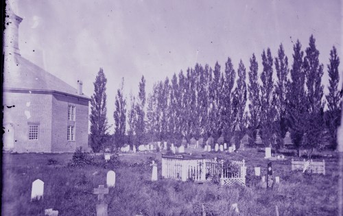 A cemetery with trees in the background