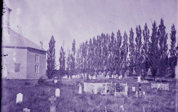 A cemetery with trees in the background