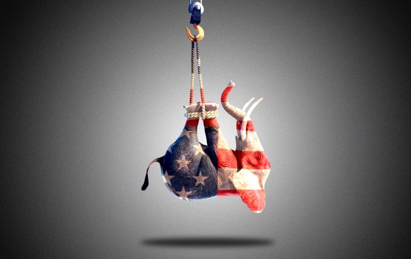 An elephant with a flag on it