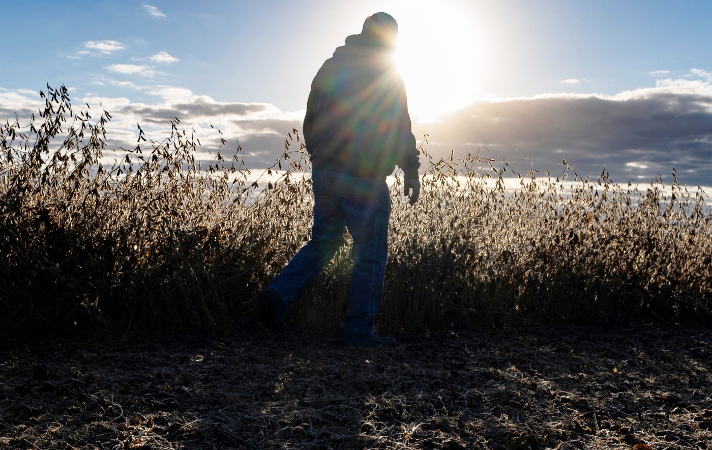 A person walking in a field