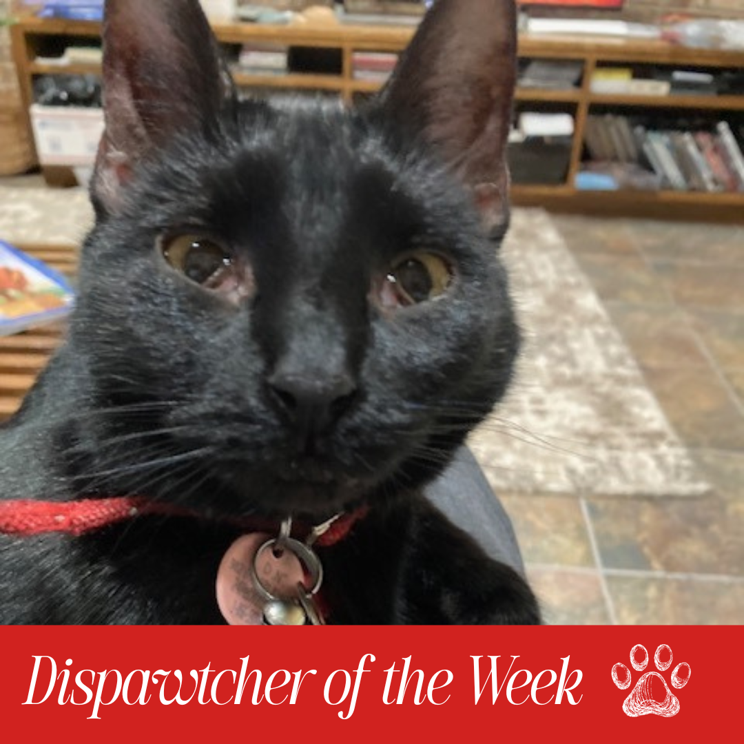 Copy of Dispawtch of the Week (6)