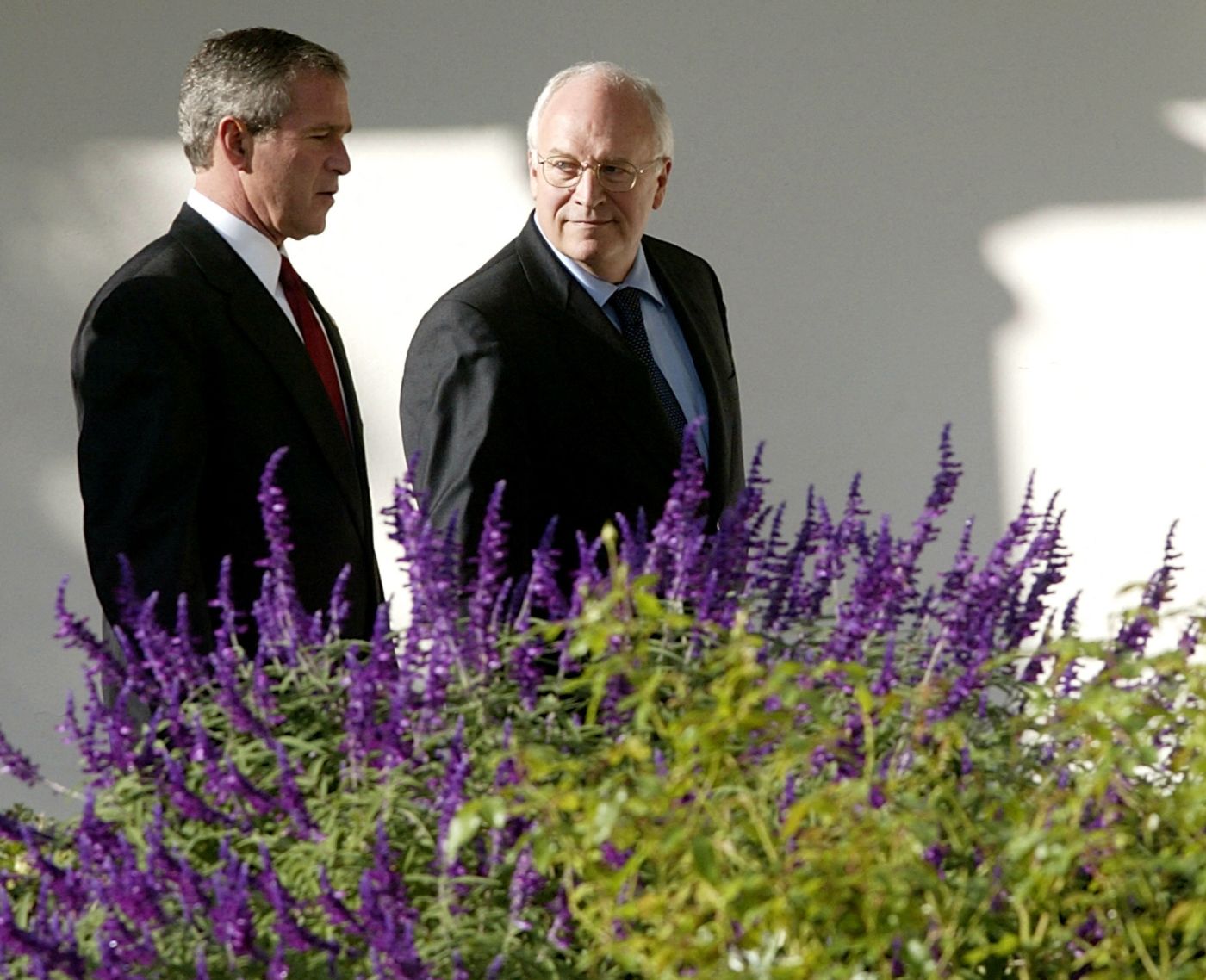 A pair of men in suits standing next to purple flowers