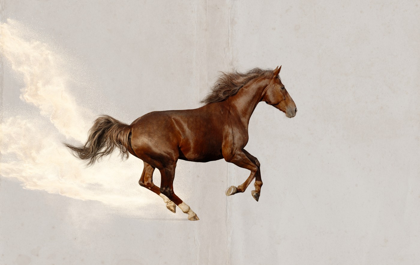 A horse running in the air
