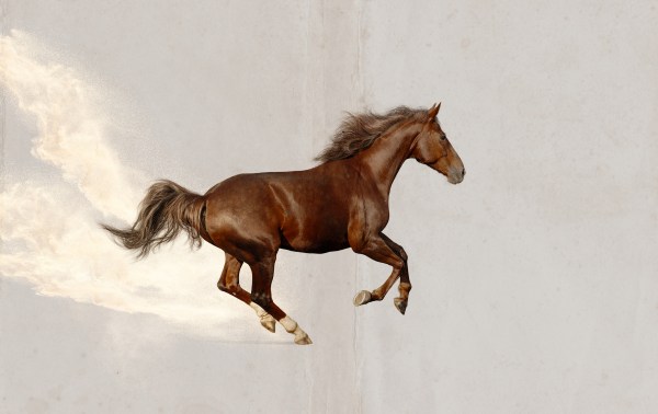 A horse running in the air